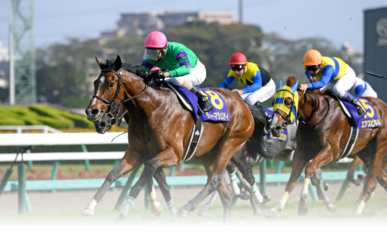 有限会社服部牧場